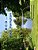 A B C D... East Hampton: An Alphabet Book-.. - Imagem 1