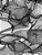 Quadrille Paper: Quad Rule Graph Paper,8.5 X 11 (4X4 Graph Paper) 100 Pages-.. - Imagem 1