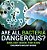 Are All Bacteria Dangerous? Biology Book For Kids Children's Biology Books-.. - Imagem 1