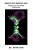 Marvelous Modern Art: Trippin-Fest Kid's Edition-.. - Imagem 1