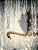 Swan's Down: The Creative Grayscale Colorist-.. - Imagem 1