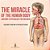 The Miracle Of The Human Body: Anatomy & Physiology For Children - Children's Anatomy & Physiology Books-.. - Imagem 1