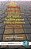 Addressing Social Issues In The Classroom And Beyond: The Pedagogical Efforts Of Pioneers In The Field-.. - Imagem 1