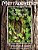 Merriweather In Search Of The Fairies-.. - Imagem 1