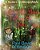 When The Dew Fell On The Okra: A Modern Christmas Fable-.. - Imagem 1