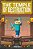 The Temple Of Destruction, Book One: The Lost Treasures-.. - Imagem 1