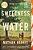 The Sweetness Of Water (Oprah's Book Club)-.. - Imagem 1