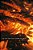 I Am The Fire That Flares Up Again-.. - Imagem 1