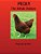 Pecky: The Rehab Chicken-.. - Imagem 1