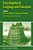 Encyclopedia Of Language And Education: Research Methods In Language And Education-.. - Imagem 1
