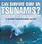 Can Surfers Surf On Tsunamis? Environment Books For Kids Children's Environment Books-.. - Imagem 1