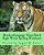 Hands-Of-language: Noun Dolch Sight Words Spelling Workbook-.. - Imagem 1