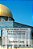 The Arabian Nights Entertainments: Special Edition-.. - Imagem 1