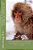 Getting In, Getting Out, And Getting On With Your Life: The Complete Cynics' Series To And Through Graduate Education In Clinical Psychology Book 1 - -.. - Imagem 1