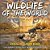 Wildlife Of The World: Zoology For Kids Children's Zoology Books Education-.. - Imagem 1