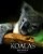 Koalas: Zen In Fur, Bw Edition-.. - Imagem 1