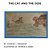 The Cat And The Dog-.. - Imagem 1
