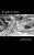 Of Light And Shadows:: Shaman's Enigma Series 2-.. - Imagem 1