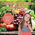 Cool Food Facts For Kids: Food Book For Children Children's Science & Nature Books-.. - Imagem 1