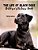 The Life Of Black Dogs: Children's Picture Book (Ages 2-6)-.. - Imagem 1