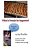 What's French For Baguette?: Learn Over 350 French Words Without Even Trying-.. - Imagem 1