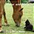 Meow And Holly-.. - Imagem 1