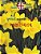 Gujarati Aksharmala: A Beginner's Book For Learning Alphabet-.. - Imagem 1