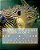 Valuable Free Advice! (New Book 9): New S U R V I V A L Information-.. - Imagem 1