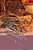 The Life And Perambulations Of A Mouse-.. - Imagem 1