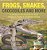 Frogs, Snakes, Crocodiles And More Amphibians And Reptiles For Kids Children's Reptile & Amphibian Books-.. - Imagem 1