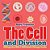 The Cell And Division Biology For Kids Children's Biology Books-.. - Imagem 1