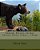 Amazing, Bizarre, Curious, Devious, Exotic, Funny,..., Things-.. - Imagem 1