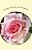 Button Rose A Little Bunny With An Unshakeable Spirit-.. - Imagem 1