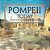 Pompeii Today: A Museum Of People Buried Alive - Archaeology Quick Guide Children's Archaeology Books-.. - Imagem 1