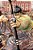 The Elusive Samurai, Vol. 5: Question And Answer 1334-.. - Imagem 1