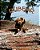 Rubear Of Algonquin Park: The Story Of A Very Courageous Bear-.. - Imagem 1