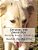 Seymore, The Sheep Dog-.. - Imagem 1