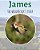 James: The Woodpeckers Story-.. - Imagem 1