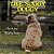 The Soggy Doggy-.. - Imagem 1