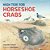 High Tide For Horseshoe Crabs-.. - Imagem 1