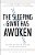 Sleeping Giant Has Awoken: The New Politics Of Religion In The United States-.. - Imagem 1