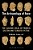 Archaeology Of Race: The Eugenic Ideas Of Francis Galton And Flinders Petrie-.. - Imagem 1