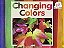 Pair-It Books Early Emergent Stage Colors Changing Colors Student Edition-.. - Imagem 1