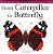From Caterpillar To Butterfly-.. - Imagem 1