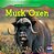 Musk Ox-.. - Imagem 1