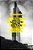1938: Modern Britain: Social Change And Visions Of The Future-.. - Imagem 1
