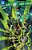 Green Lantern Vol. 5: Fractured Spectrum-.. - Imagem 1