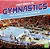 First Source To Gymnastics: Rules, Equipment, And Key Routine Tips-.. - Imagem 1