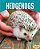 Hedgehogs-.. - Imagem 1