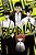 Blood Lad, Vol. 5-.. - Imagem 1